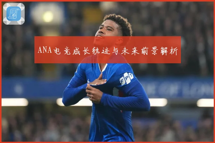 ANA电竞成长轨迹与未来前景解析