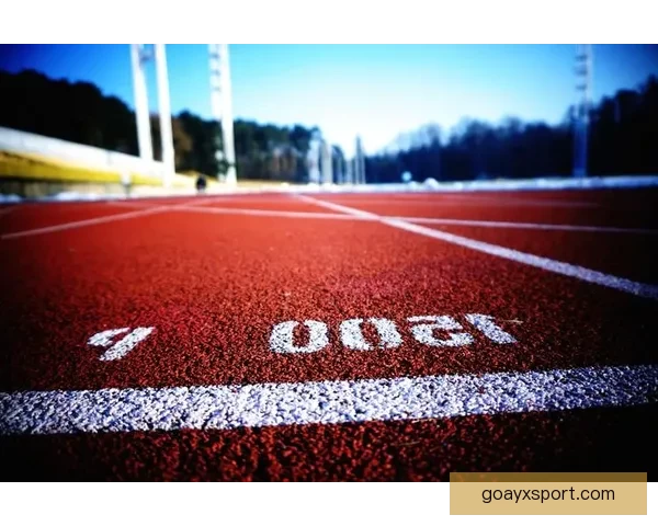 九州体育入口官网全面升级畅享全新体育娱乐体验 九州体育入口官网全面升级畅享全新体育娱乐体验