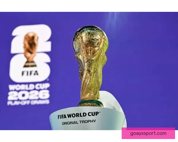 FIFA世界杯门票转售平台打款延迟频发球迷退款无门引发广泛不满